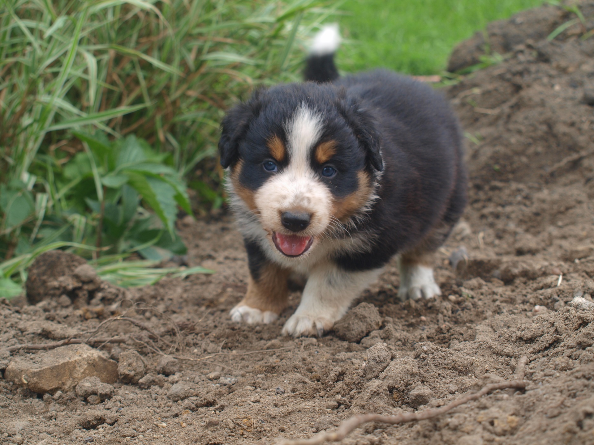 Galileo Storytelling 5 týdnů