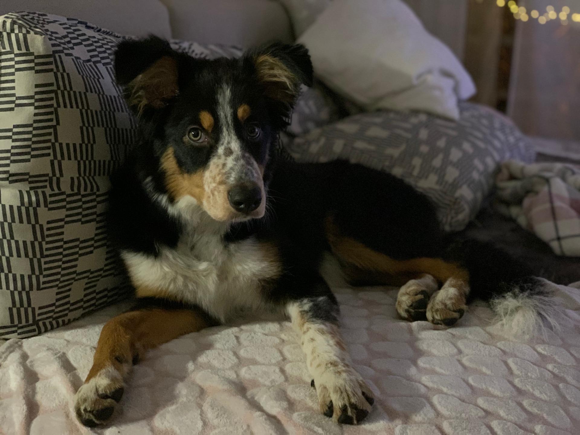 Galileo Storytelling prosinec 2019